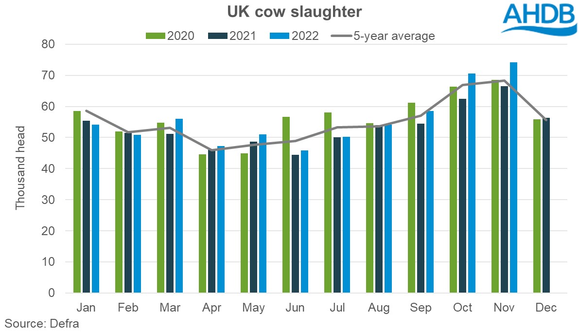 Graph of UK cow slaughter numbers